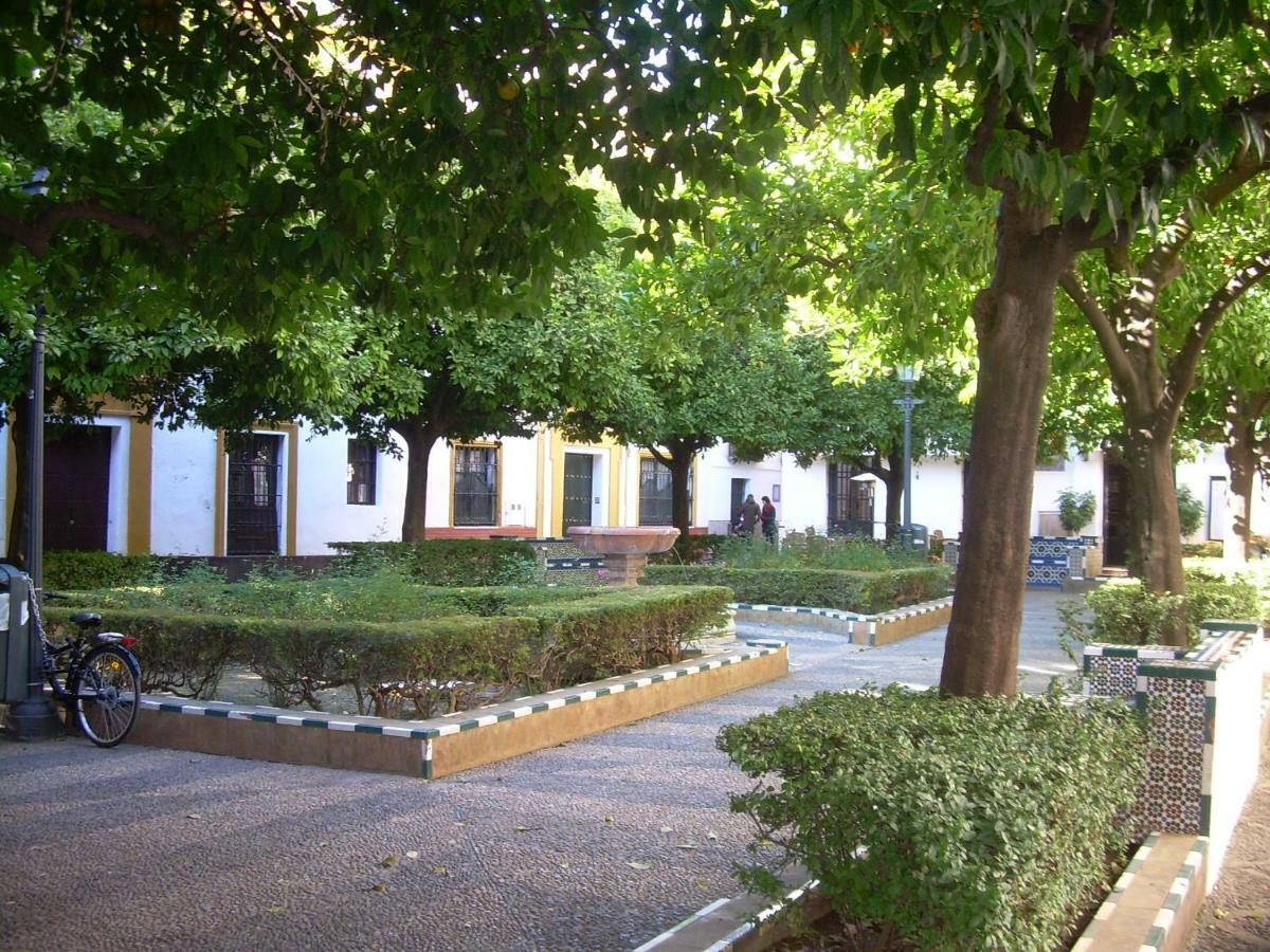 Bamberg Duplex Terrace Seville